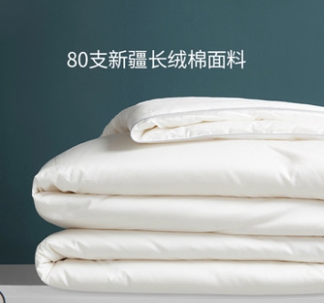 A类被子冬被全棉80S大豆纤维丝棉被被芯空调被纯棉春秋被四季通用