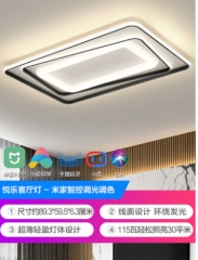 欧普照明轻奢现代约线条客厅灯LED吸顶灯米家智控调光全屋套装TC
