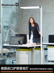 德国进口儿童护眼落地灯 Waldmann沃达迈钢琴阅读学习书桌LED台灯